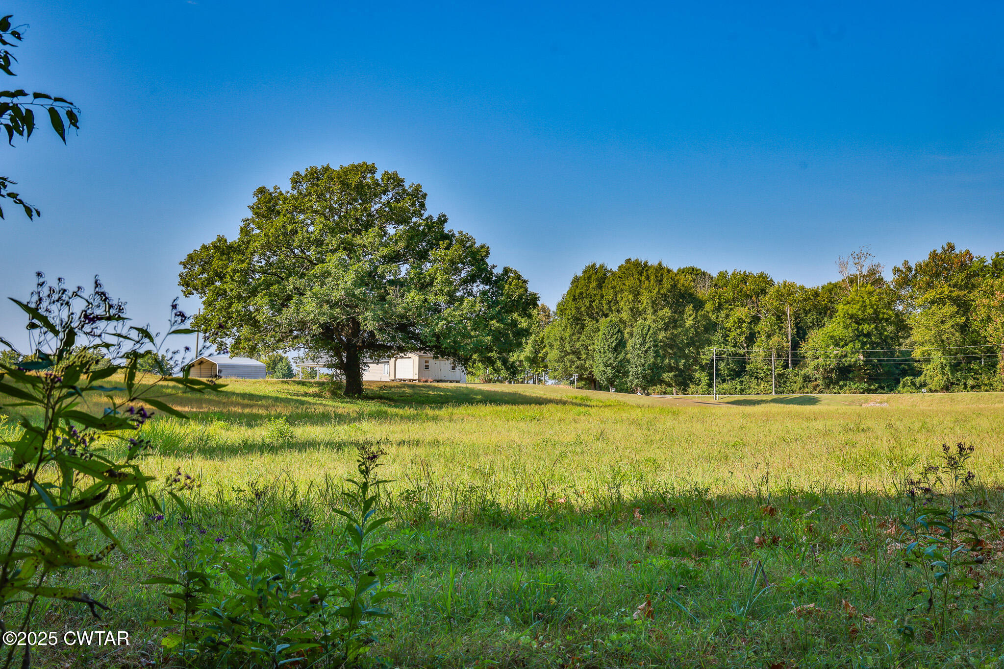 13 Salem Road Rutherford, TN 38369 - Photo 16 of 36 FT8A0380