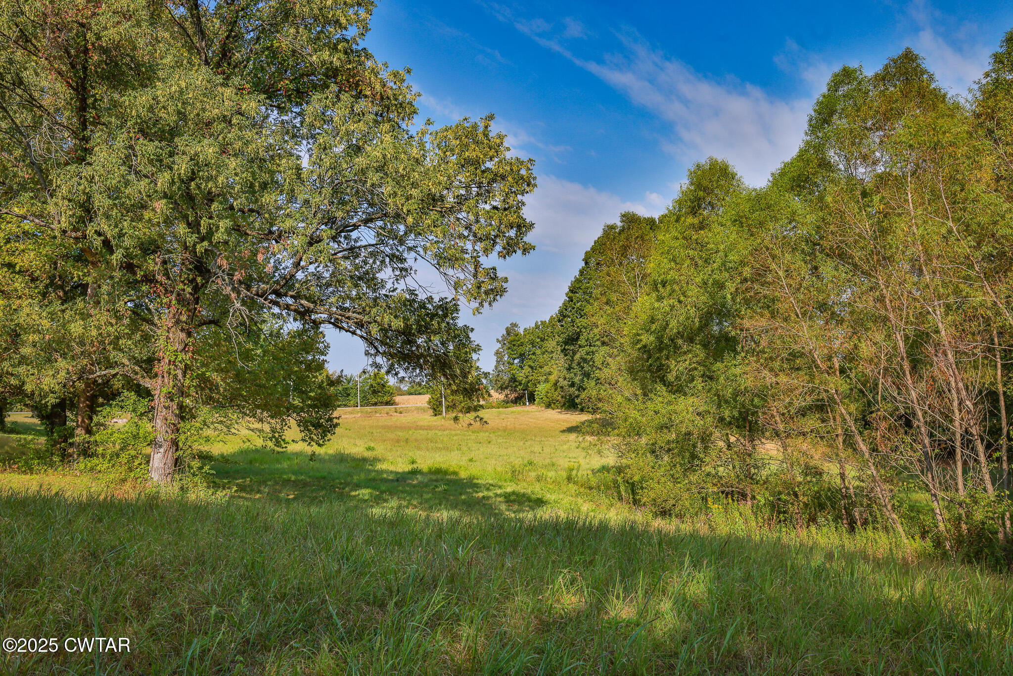 13 Salem Road Rutherford, TN 38369 - Photo 19 of 36 FT8A0389