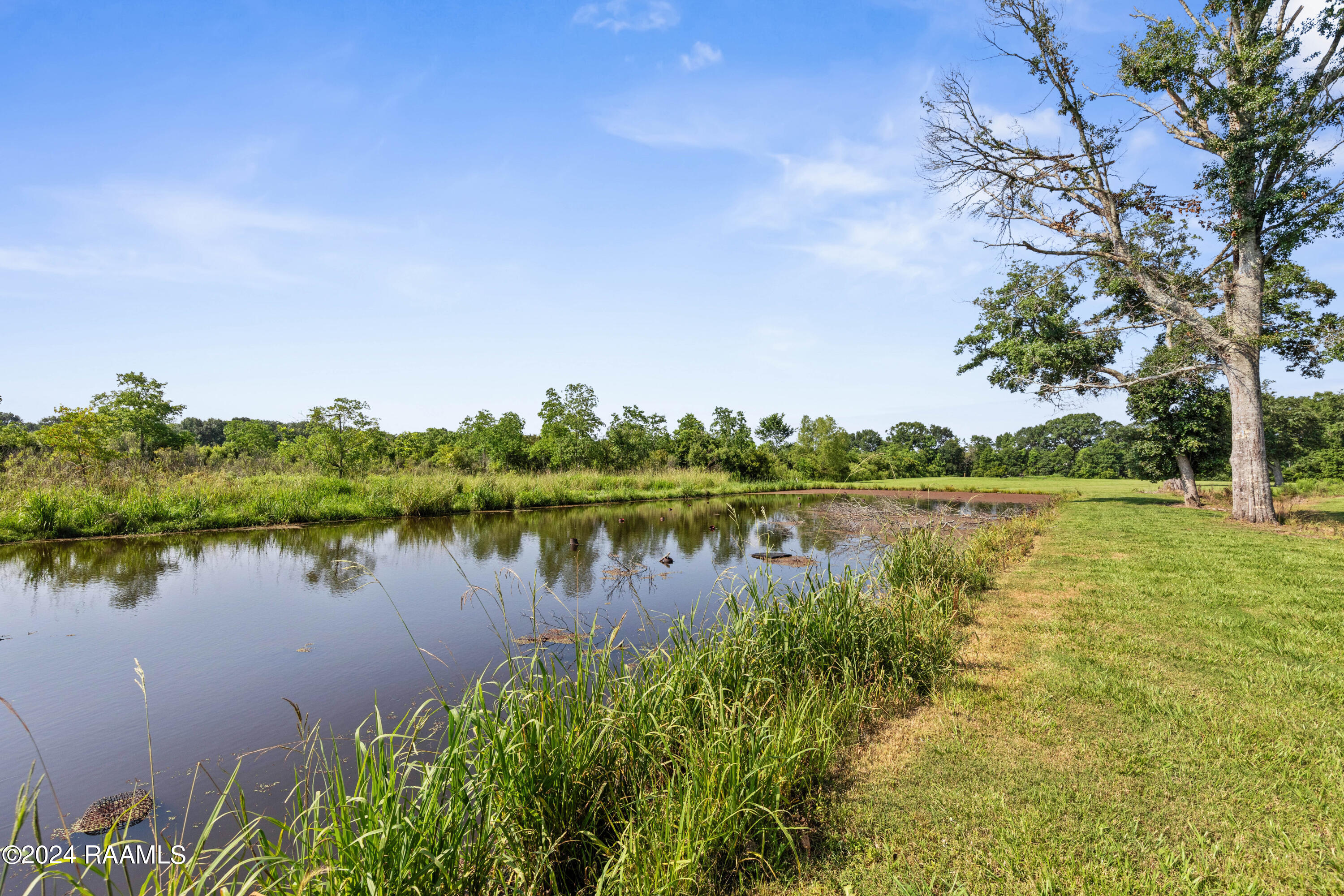 931 Austin Road, Unit B Youngsville, LA 70592 - Photo 40 of 46 931AustinEXT-47