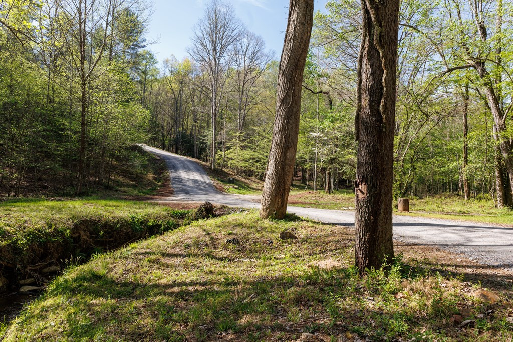 342 Hunter Ridge Murphy, NC 28906 - Photo 29 of 81