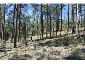 0 Copper Basin Road Prescott, AZ 86303 - Photo 1 of 1 Primary Photo