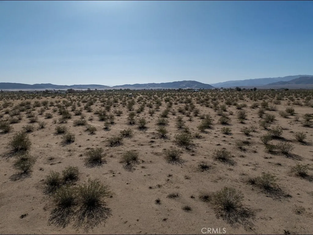 4773 California Joshua Tree, CA 92252 - Photo 12 of 14 a view of a dry yard