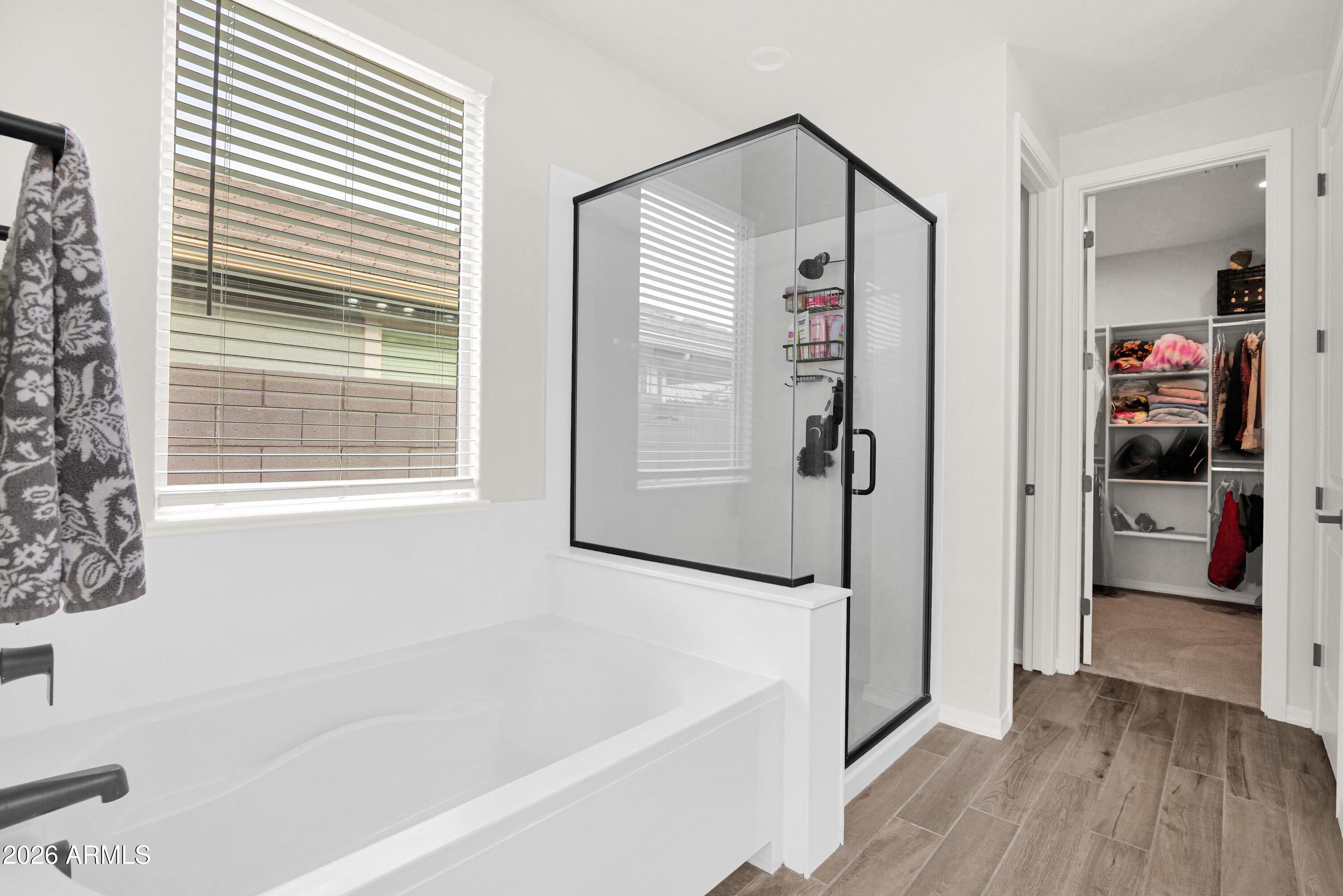 3461 West Oil Well Road San Tan Valley, AZ 85144 - Photo 11 of 19 a bathroom with a bathtub and a shower