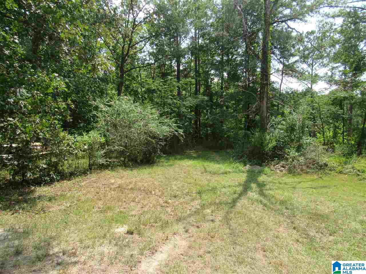 175 County Road 772 Montevallo, AL 35115 - Photo 22 of 50