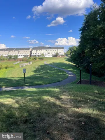 a view of a big yard with large trees