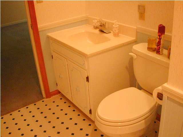 707 Sable Road Spring City, TN 37381 - Photo 5 of 8 Additional Photo