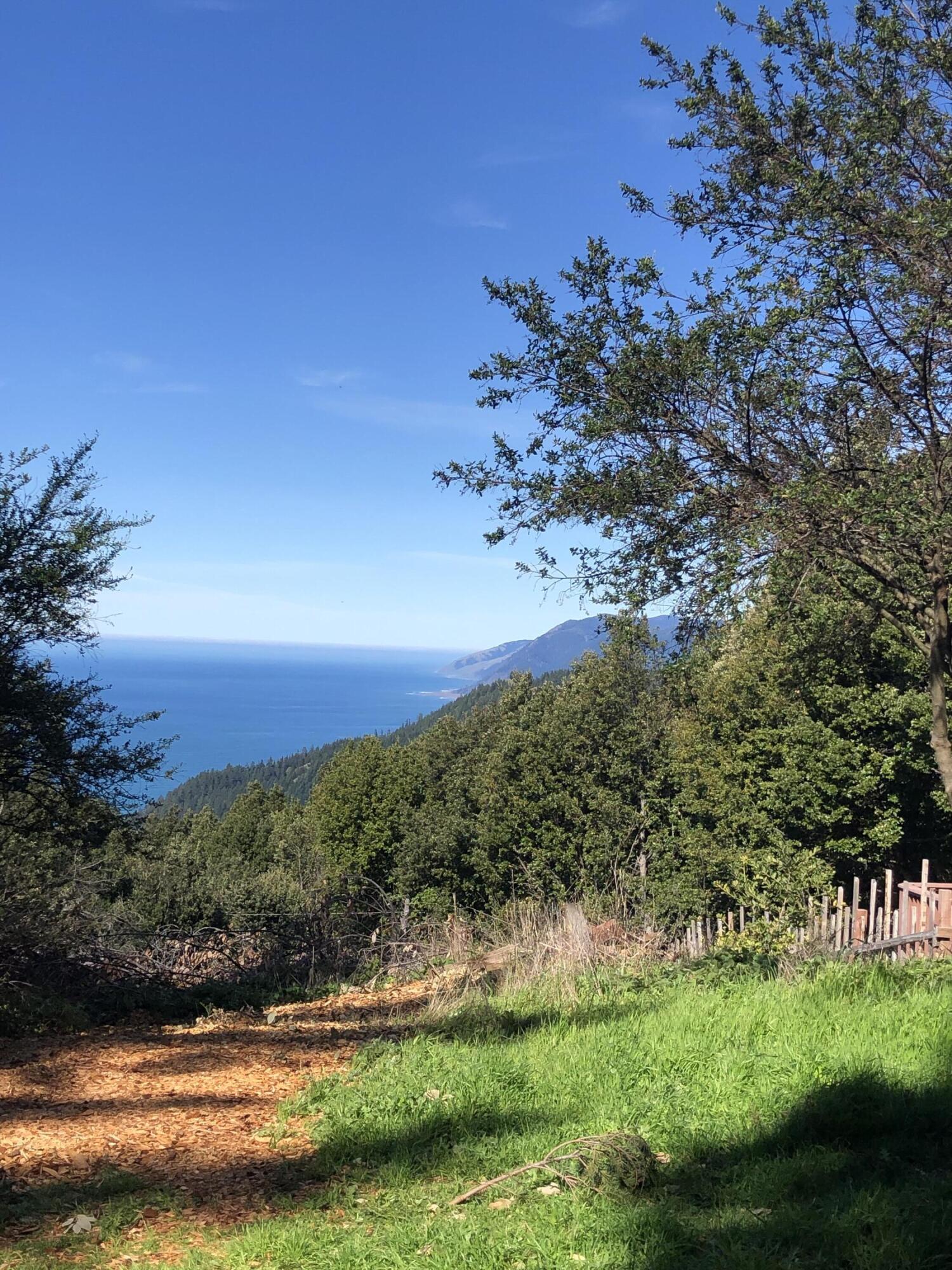 171 Cook Road Shelter Cove, CA 95589 - Photo 2 of 4
