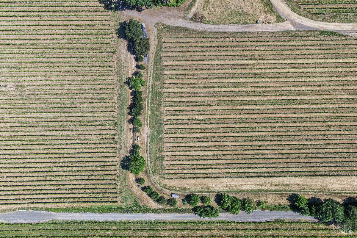 5091 Dry Creek Road Healdsburg, CA 95448 - Photo 41 of 52