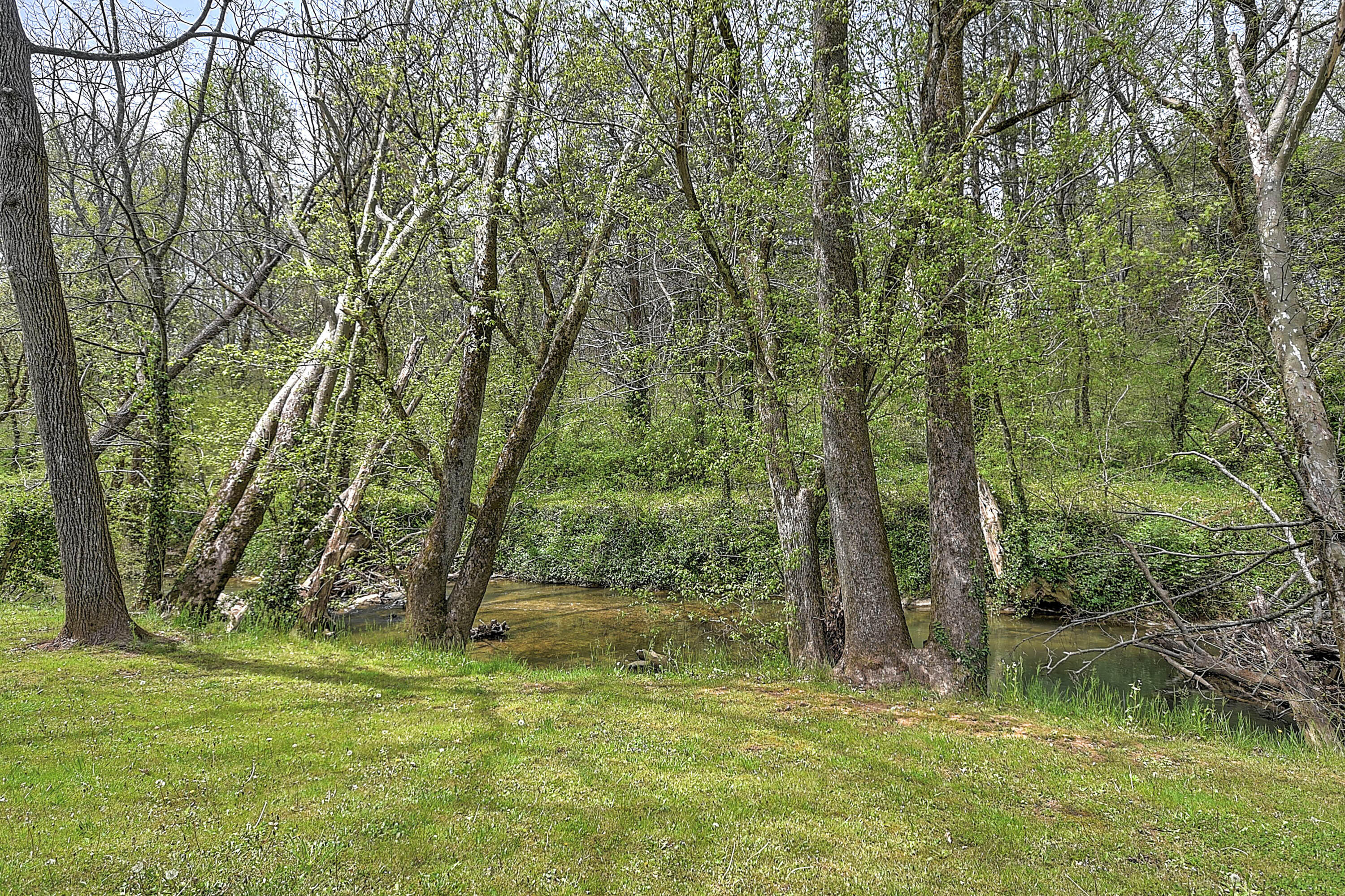 3080 Old State Rte 34 Limestone, TN 37681 - Photo 24 of 30 Calming Creek