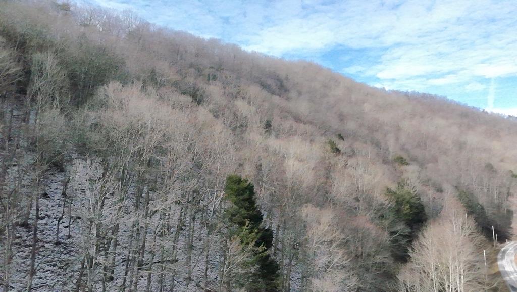 Tbd Carlock Creek Road Chilhowie, VA 24319 - Photo 9 of 12 Gallery Image 9