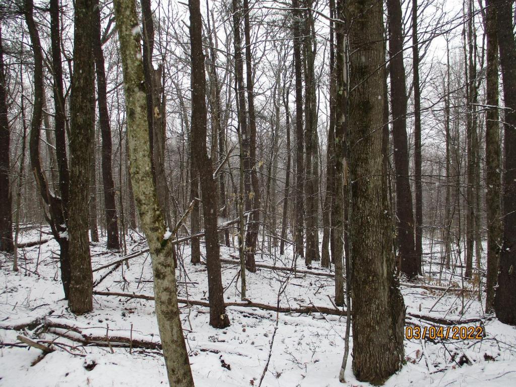 0 Chandas Way Road Laurens, NY 13796 - Photo 11 of 11