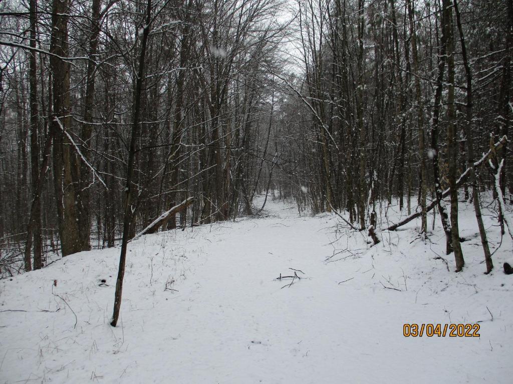 0 Chandas Way Road Laurens, NY 13796 - Photo 2 of 11