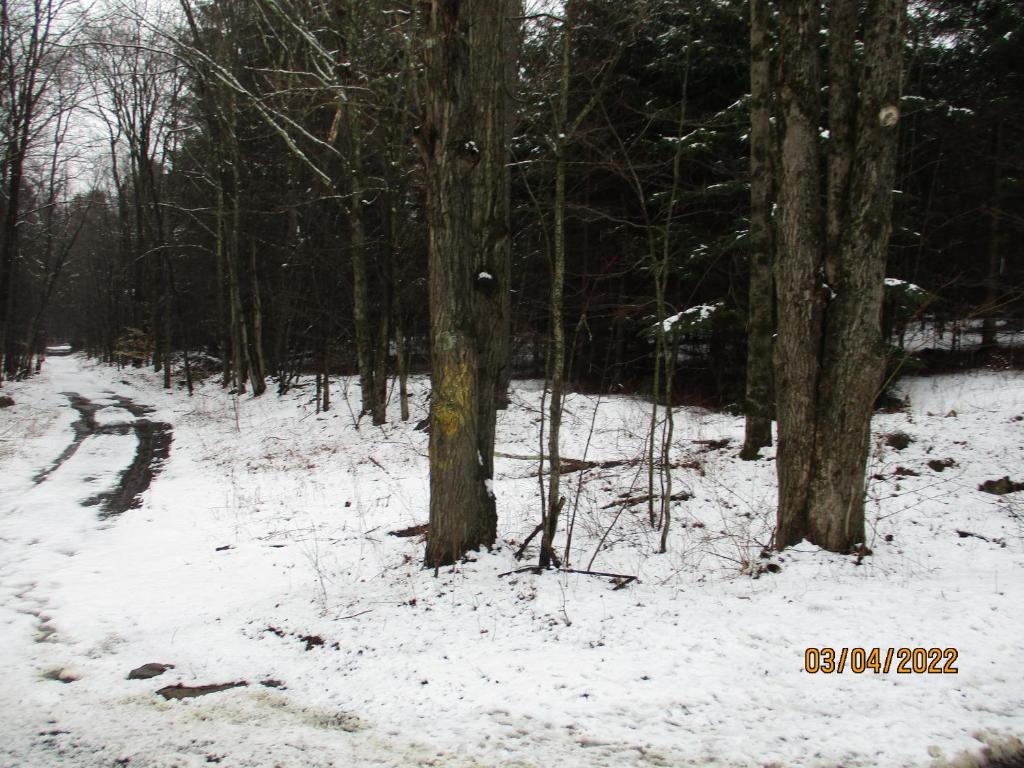 0 Chandas Way Road Laurens, NY 13796 - Photo 3 of 11