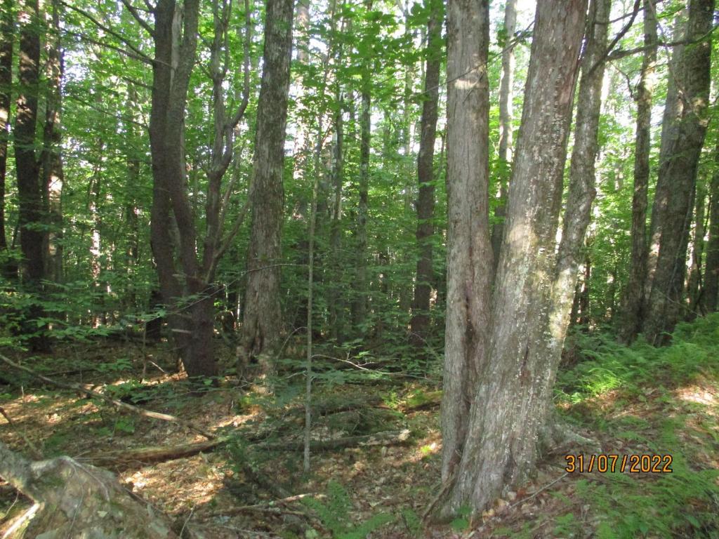 0 Chandas Way Road Laurens, NY 13796 - Photo 4 of 11