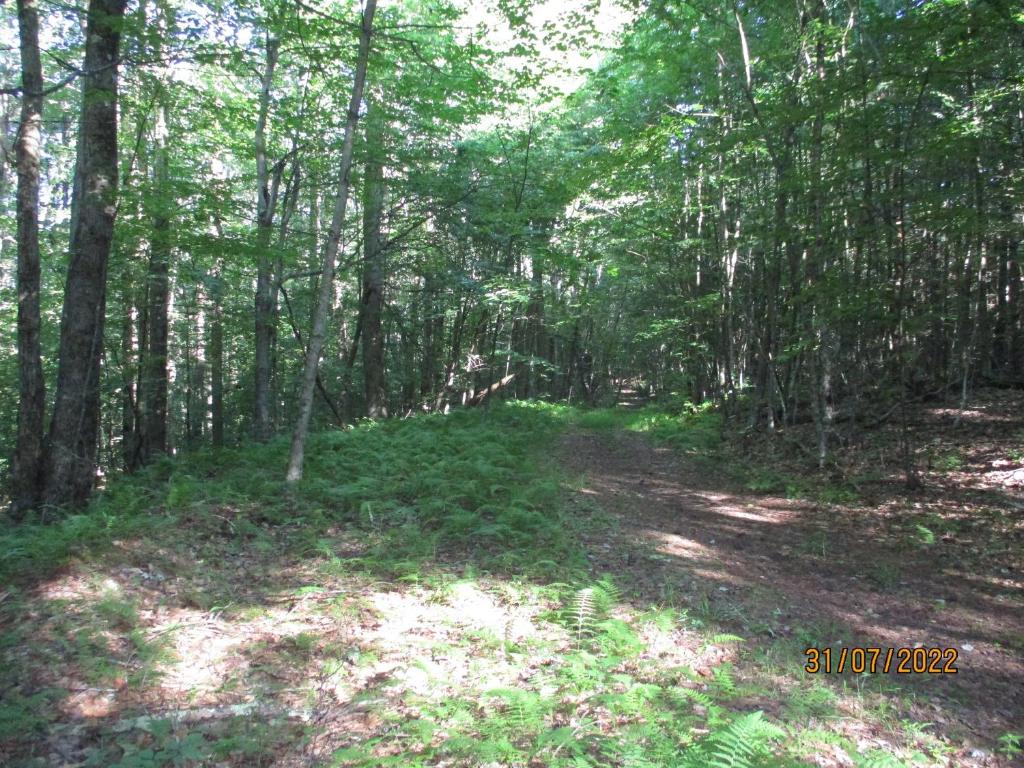 0 Chandas Way Road Laurens, NY 13796 - Photo 5 of 11