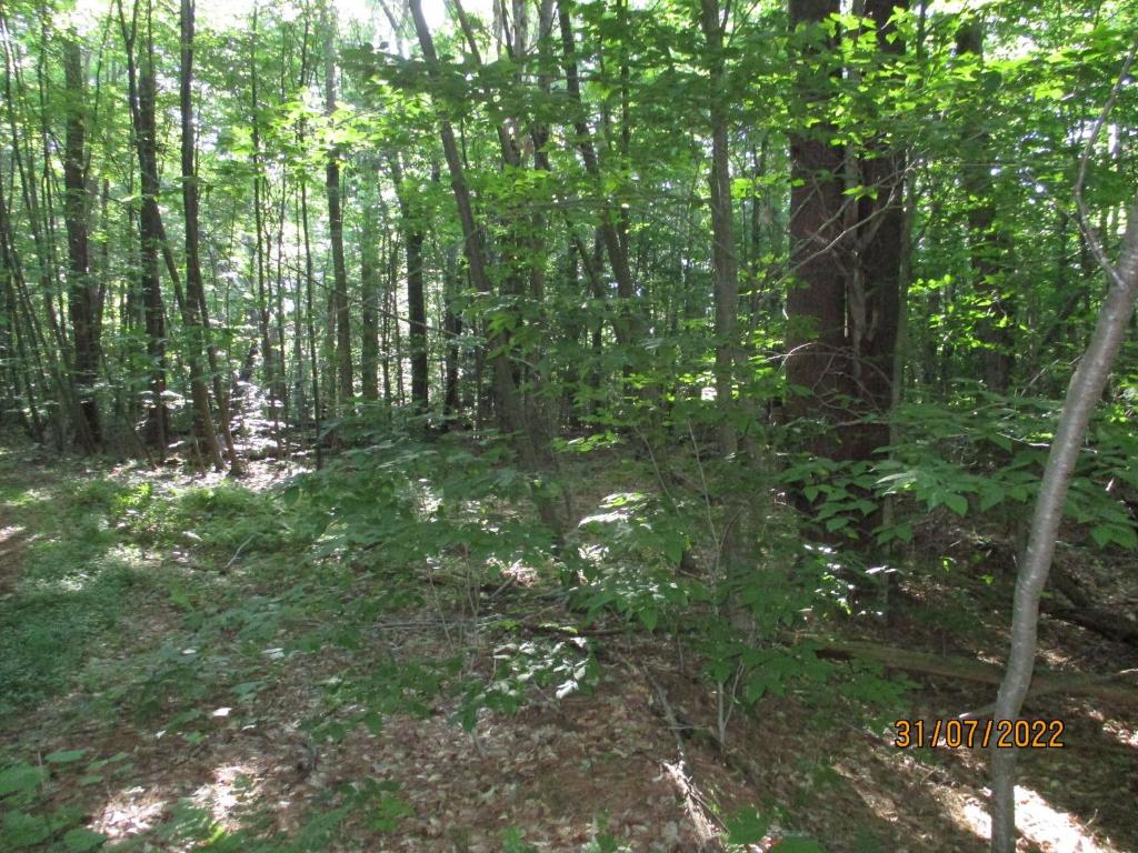 0 Chandas Way Road Laurens, NY 13796 - Photo 6 of 11