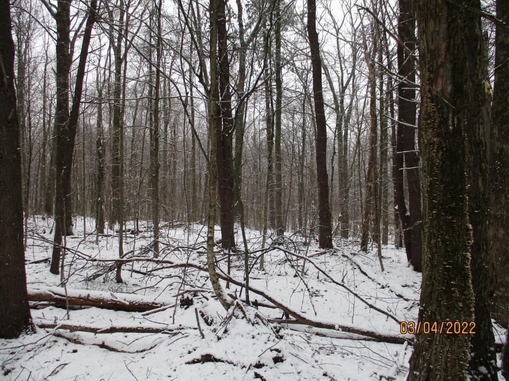 0 Chandas Way Road Laurens, NY 13796 - Photo 7 of 11