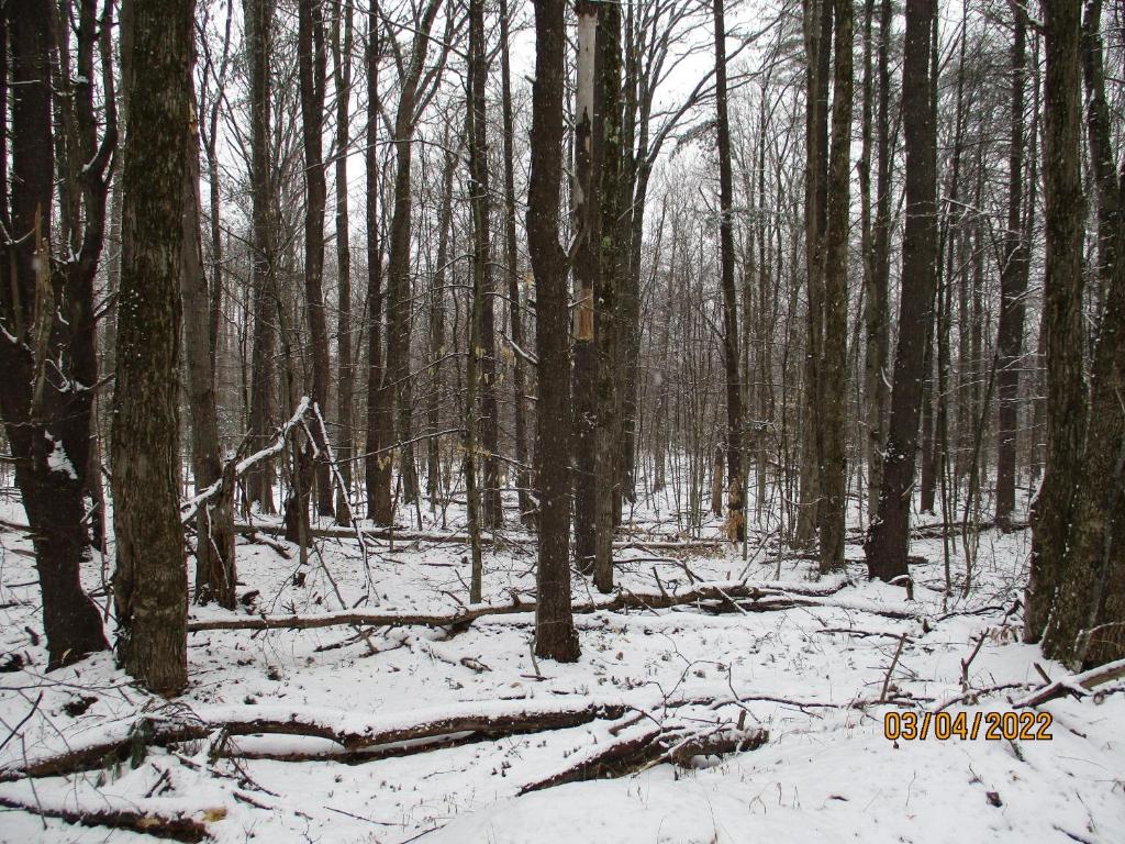 0 Chandas Way Road Laurens, NY 13796 - Photo 8 of 11