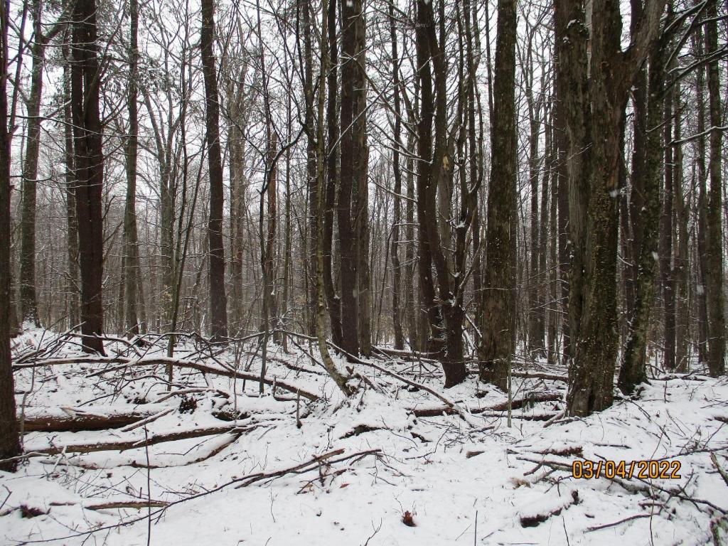 0 Chandas Way Road Laurens, NY 13796 - Photo 9 of 11