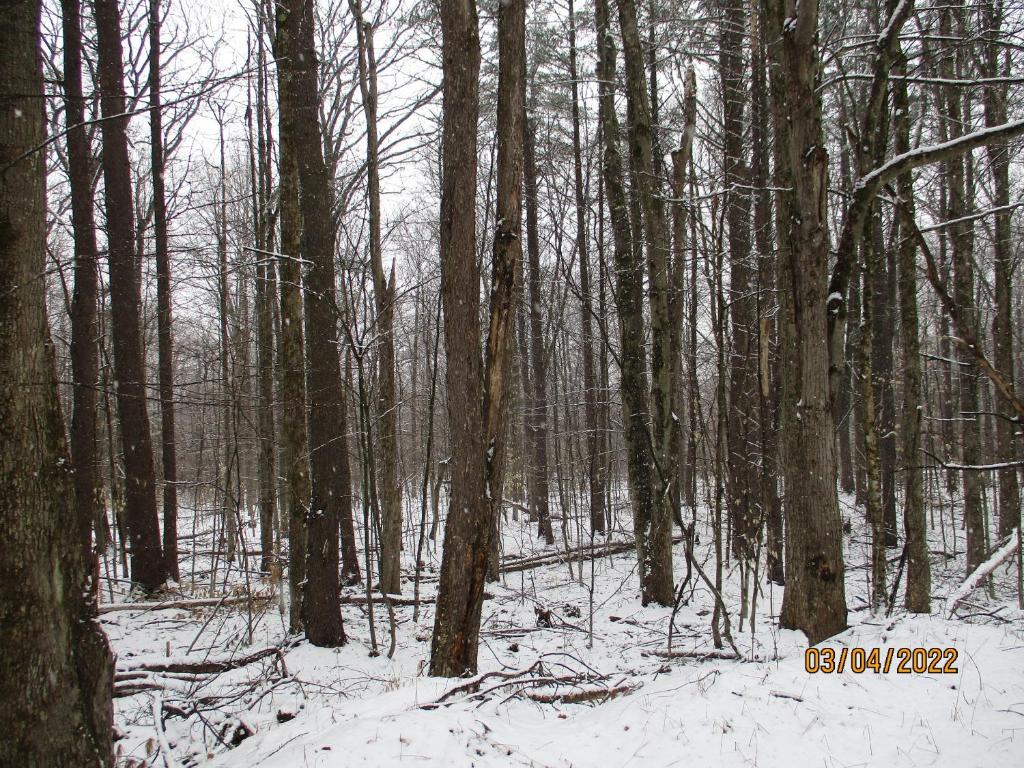 0 Chandas Way Road Laurens, NY 13796 - Photo 10 of 11