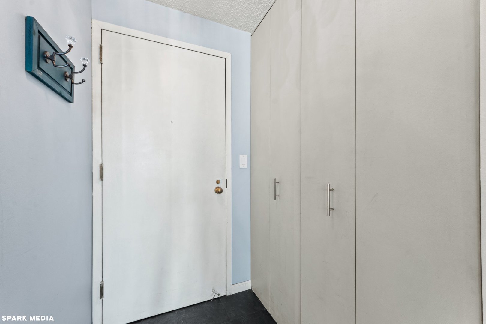 111 West Maple Street, Unit 1009 Chicago, IL 60610 - Photo 16 of 18 a view of front door
