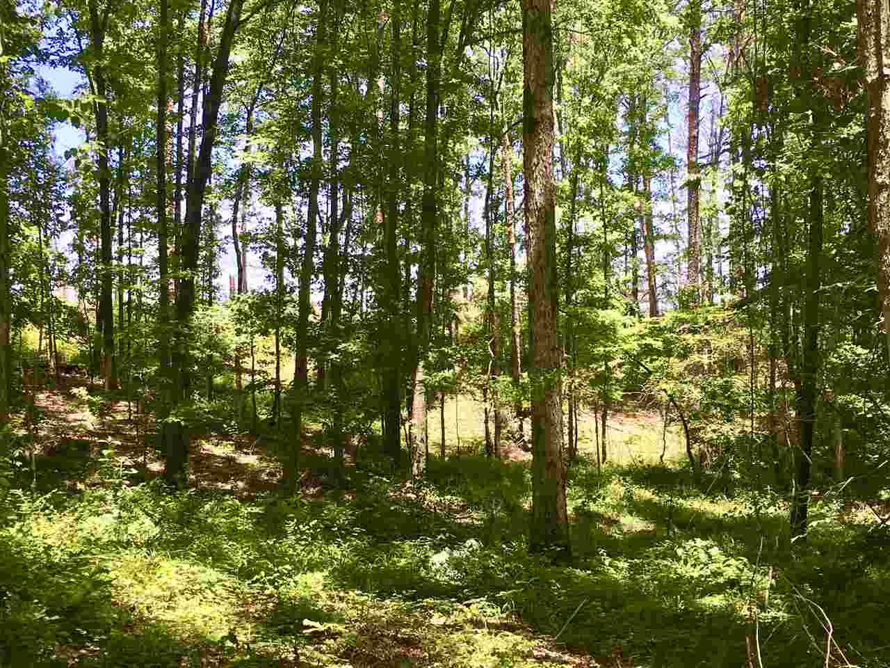 2803 Eddisville Road Durant, MS 39063 - Photo 17 of 29 Photo 17