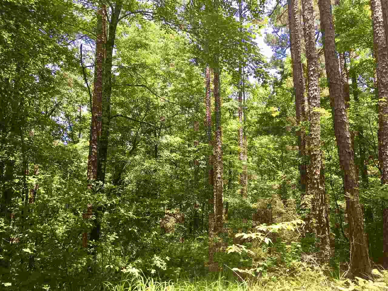 2803 Eddisville Road Durant, MS 39063 - Photo 18 of 29 Photo 18