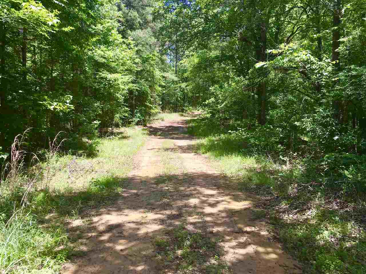 2803 Eddisville Road Durant, MS 39063 - Photo 19 of 29 Photo 19