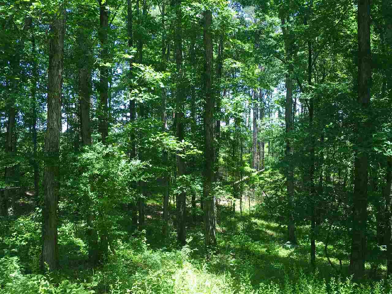 2803 Eddisville Road Durant, MS 39063 - Photo 2 of 29 Photo 2