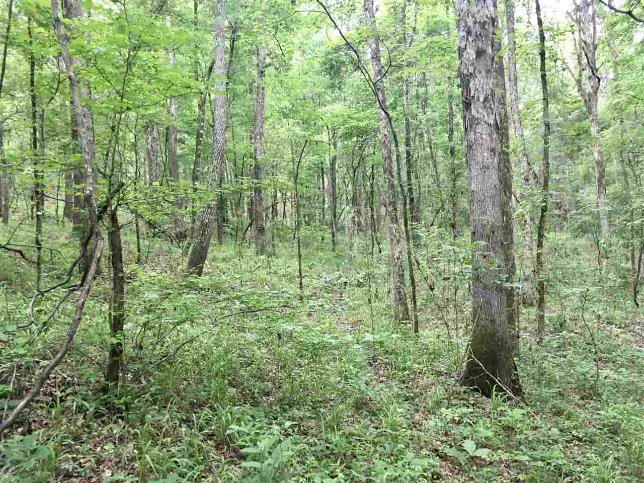 2803 Eddisville Road Durant, MS 39063 - Photo 26 of 29 Photo 26