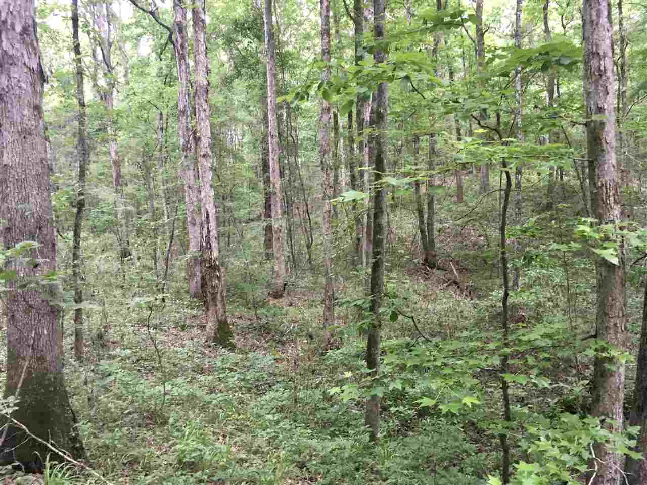 2803 Eddisville Road Durant, MS 39063 - Photo 27 of 29 Photo 27