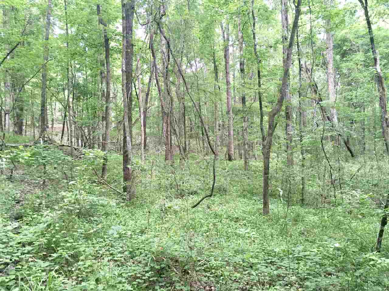 2803 Eddisville Road Durant, MS 39063 - Photo 28 of 29 Photo 28