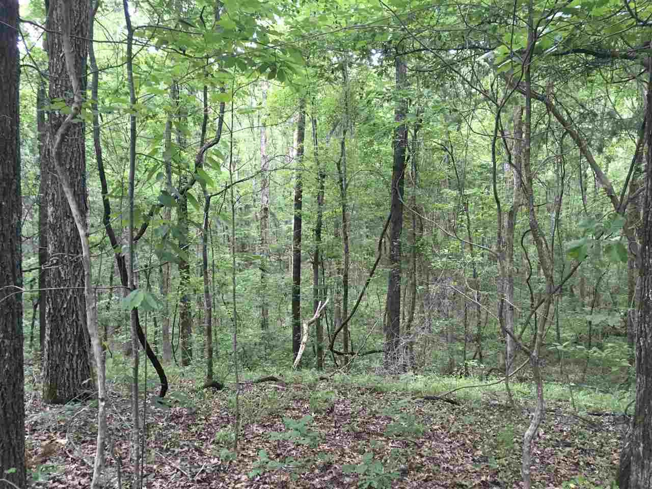 2803 Eddisville Road Durant, MS 39063 - Photo 29 of 29 Photo 29