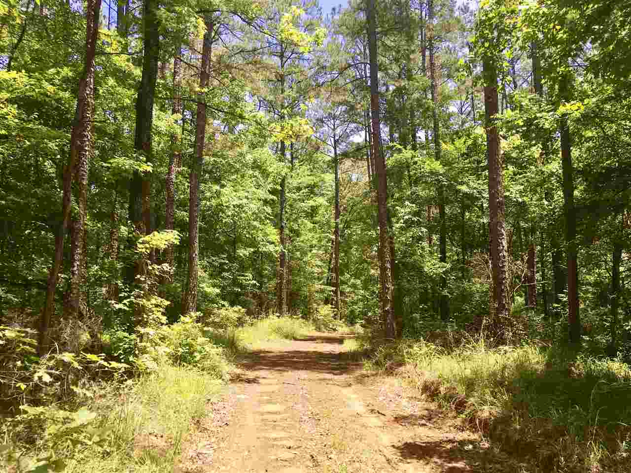 2803 Eddisville Road Durant, MS 39063 - Photo 3 of 29 Photo 3