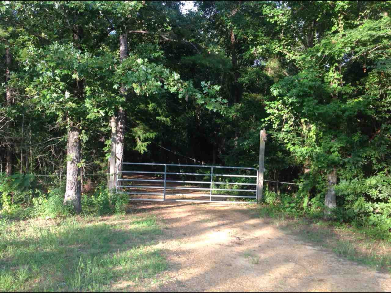 2803 Eddisville Road Durant, MS 39063 - Photo 4 of 29 Photo 4