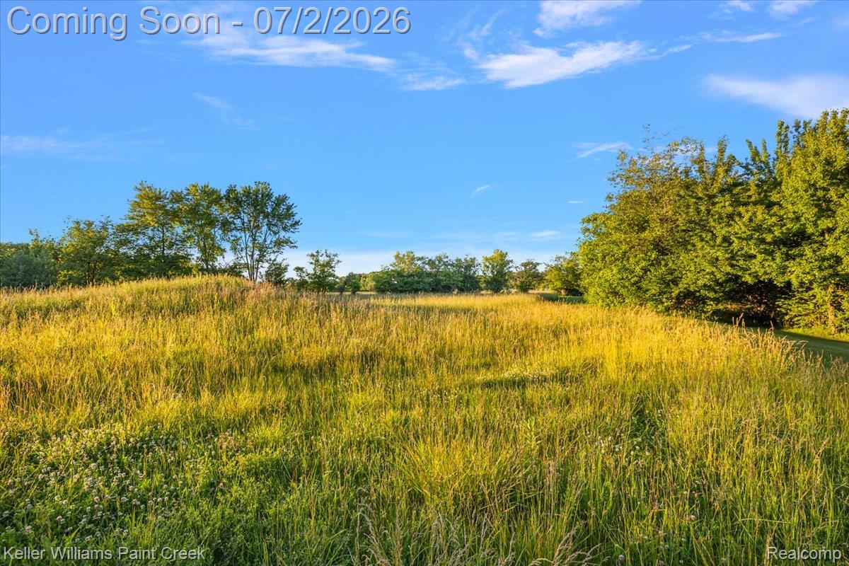 54230 Card Road Macomb, MI 48042 - Photo 17 of 73 Expansive open field with natural vegetation and distant trees under a clear sky