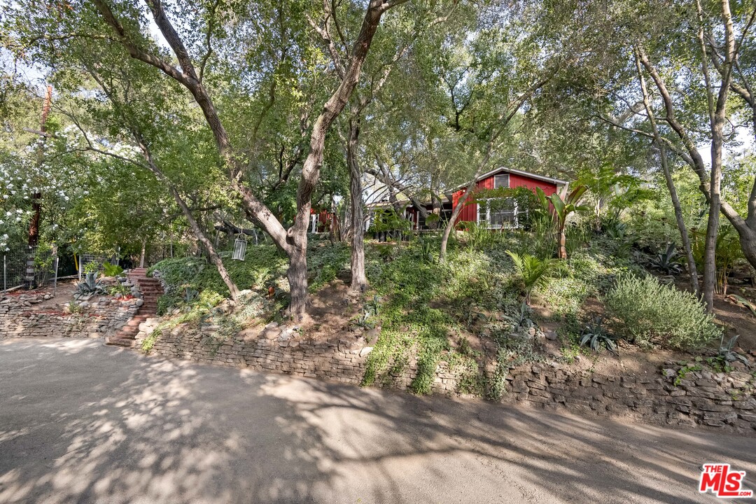 21042 Entrada Road Topanga, CA 90290 - Photo 42 of 49 a fire hydrant in the middle of a forest