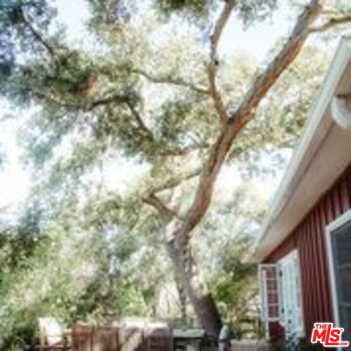21042 Entrada Road Topanga, CA 90290 - Photo 46 of 49 a view of backyard of house