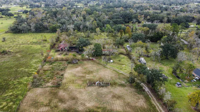 a view of a forest with a yard