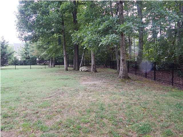 3253 Ripplin Run Lane Ooltewah, TN 37363 - Photo 33 of 36 Additional Photo