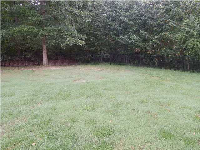 3253 Ripplin Run Lane Ooltewah, TN 37363 - Photo 34 of 36 Additional Photo