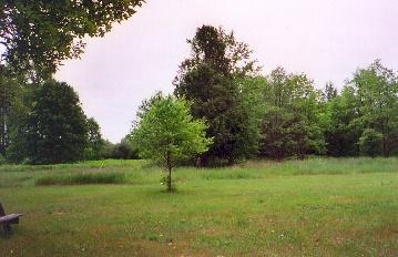 11625 Berg Road Kaleva, MI 49645 - Photo 8 of 9 Additional Photo