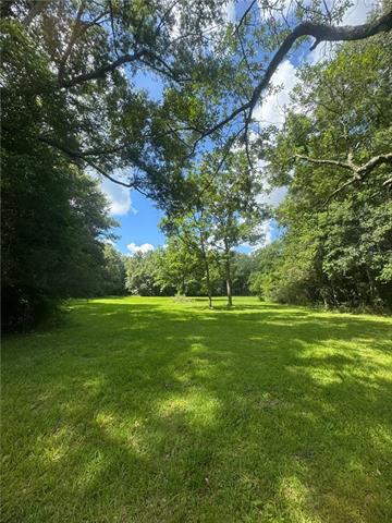 0 Cowart Road Bush, LA 70431 - Photo 5 of 10