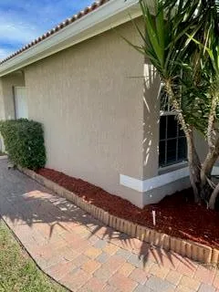 a view of a backyard