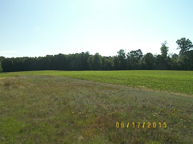 5459 Richardson Road Spring Hope, NC 27882 - Photo 6 of 7 Additional Photo