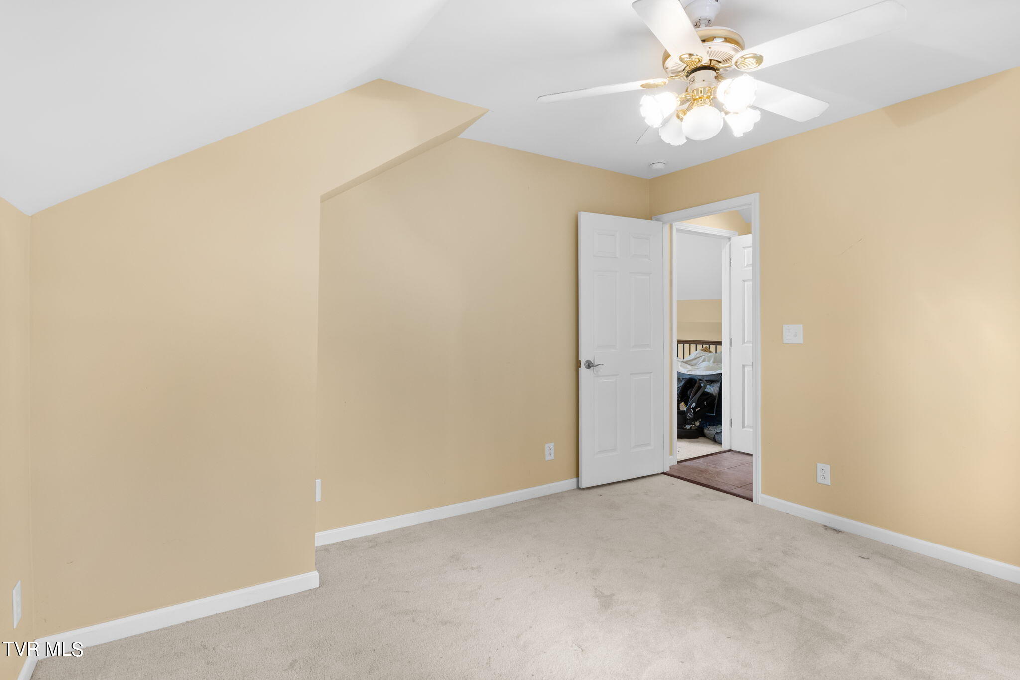 22082 Big Bass Camp Road Abingdon, VA 24211 - Photo 21 of 30 28-web-or-mls-IMG_3463