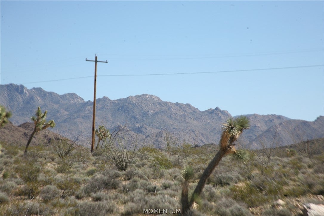 208-24-134 South Cameron Road Yucca, AZ 86438 - Photo 58 of 86 Gallery Image 58