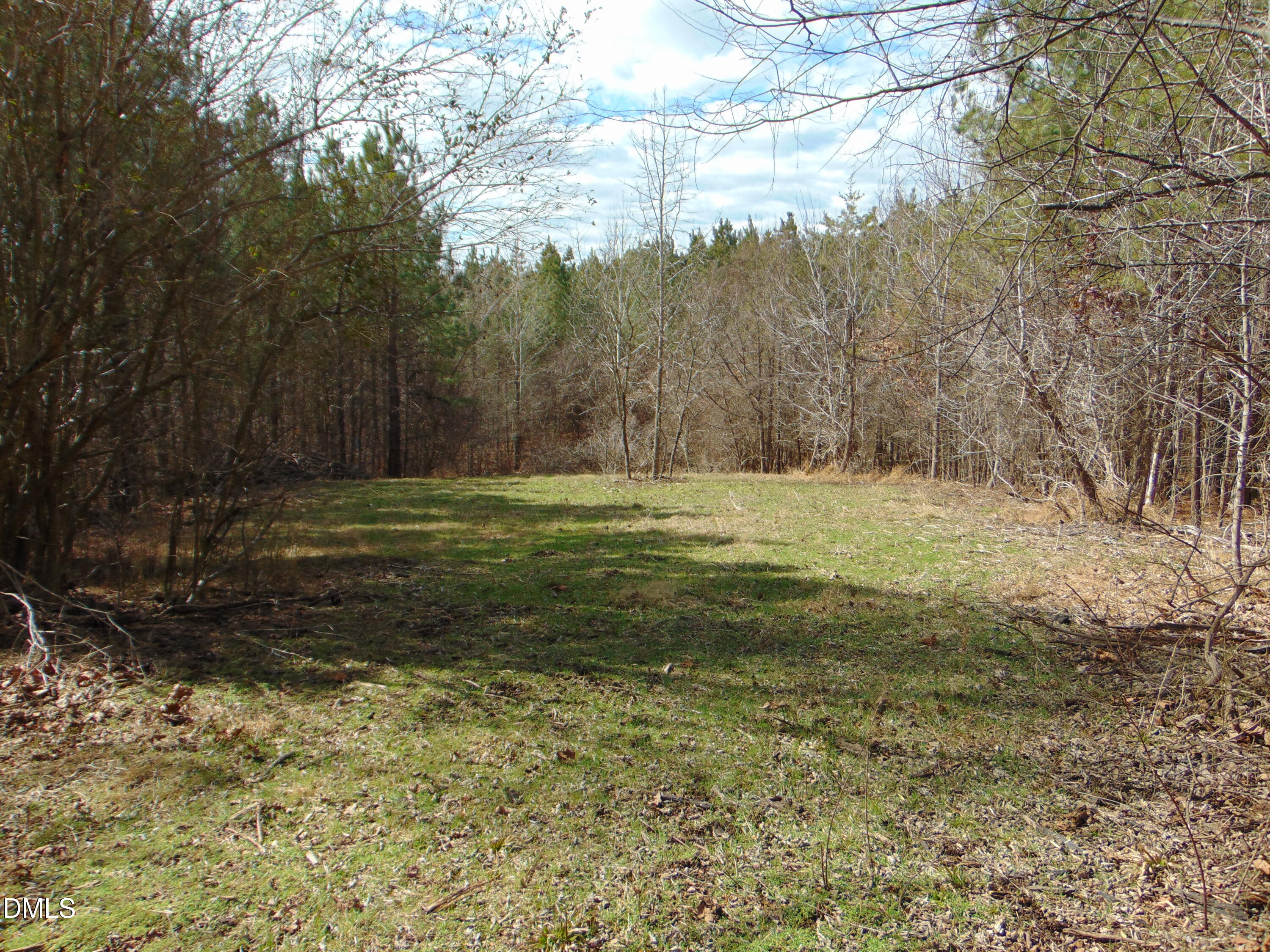 0 Park Springs Road Providence, NC 27315 - Photo 45 of 46 DSC01394