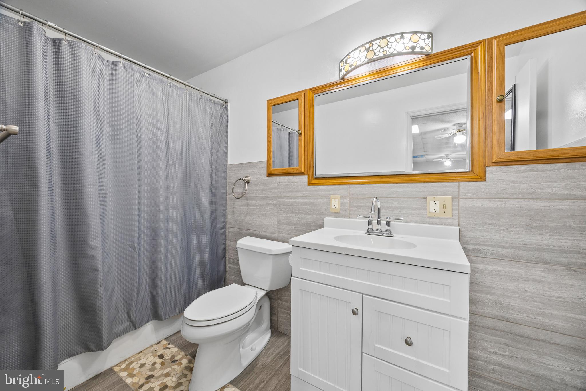 2370 Highway 211 Luray, VA 22835 - Photo 39 of 68 a bathroom with a sink a toilet and a mirror