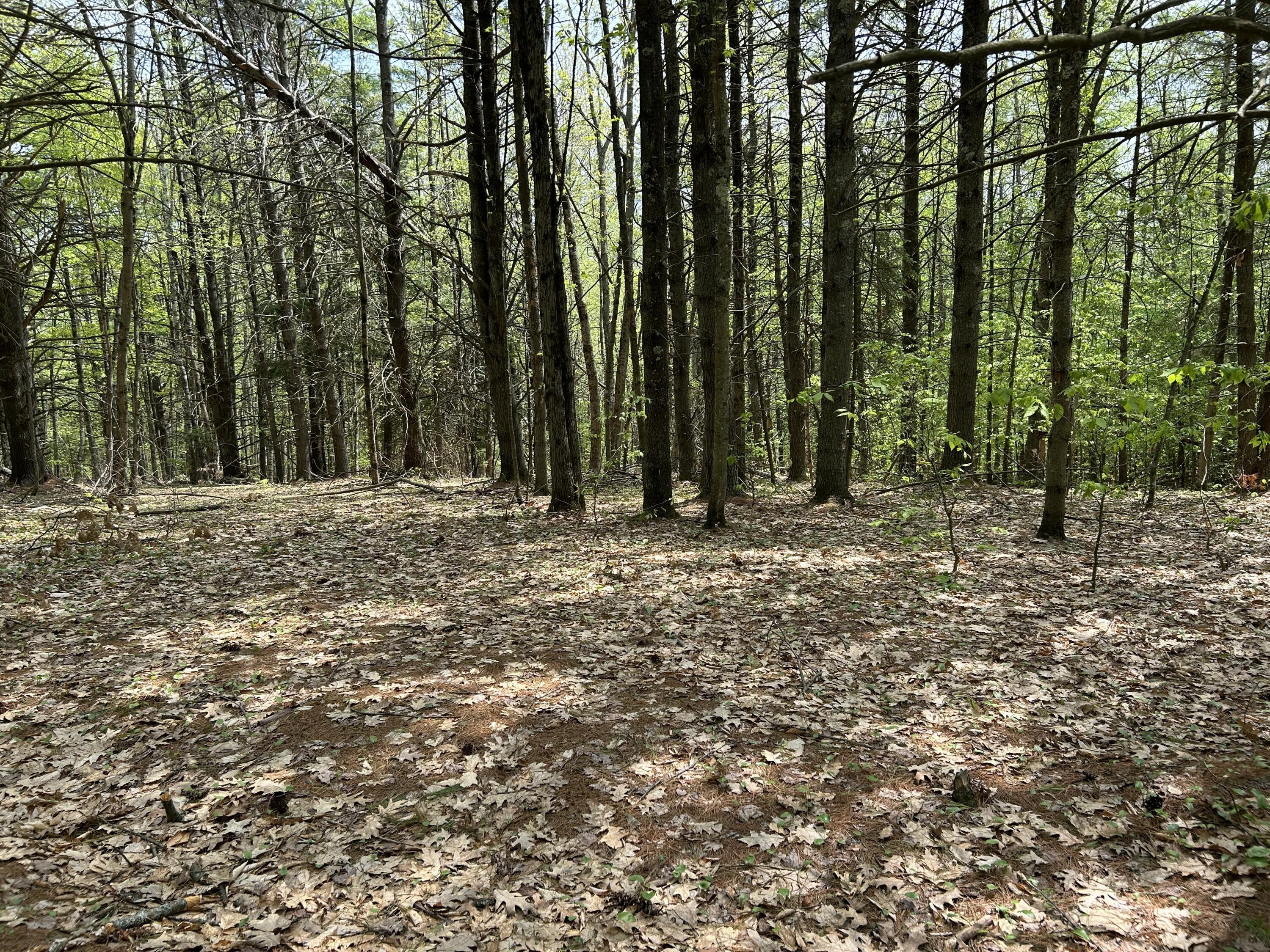 281 Randall Road Lewiston, ME 04240 - Photo 17 of 31